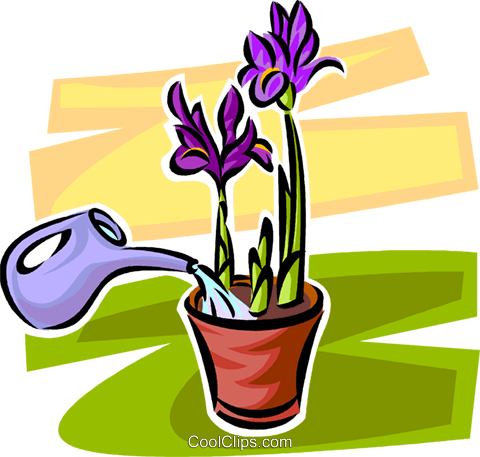 Bewässerung Von Pflanzen Mit Einer Gießkanne Vektor - Annaffiare Le Piante Clipart (480x457)