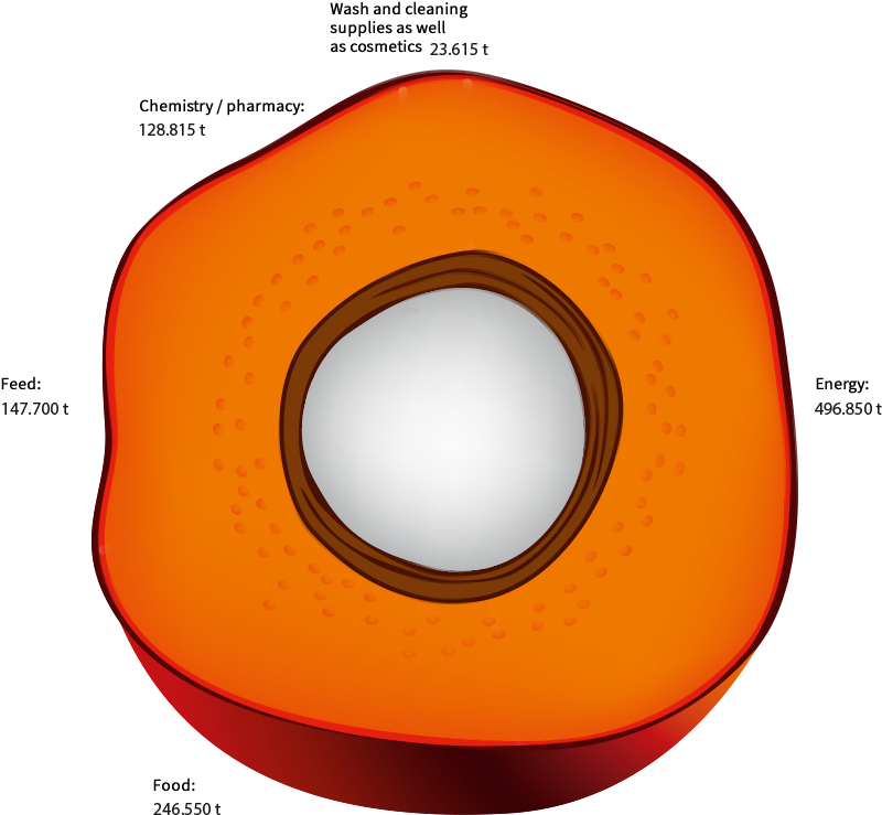 Use Of Palm Oil And Palm Kern Oil In Germany In - Circle (818x784)