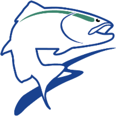 Trout Unlimited Canada - Yellow Fish Road Program Gif (450x416)