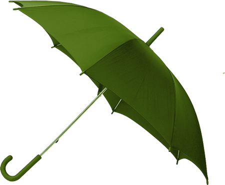 Love This Green Umbrella - Оранжевый Зонт (450x370)