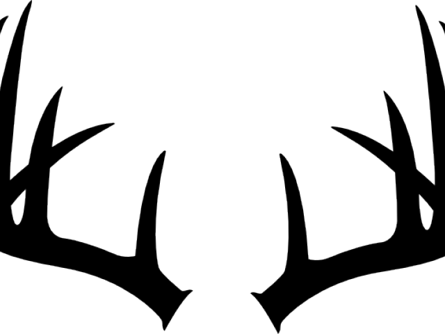 Graphic Library Download Free On Dumielauxepices Net - Antler Clip Art (640x480)