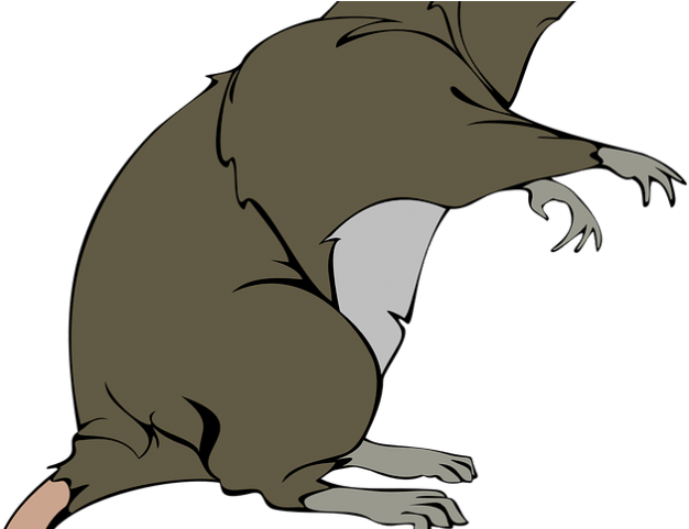 Grey Clipart Tikus - Rat Clip Art (640x480)