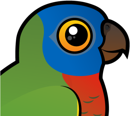 Also Known As - Amazona Versicolor Clip Art (440x440)