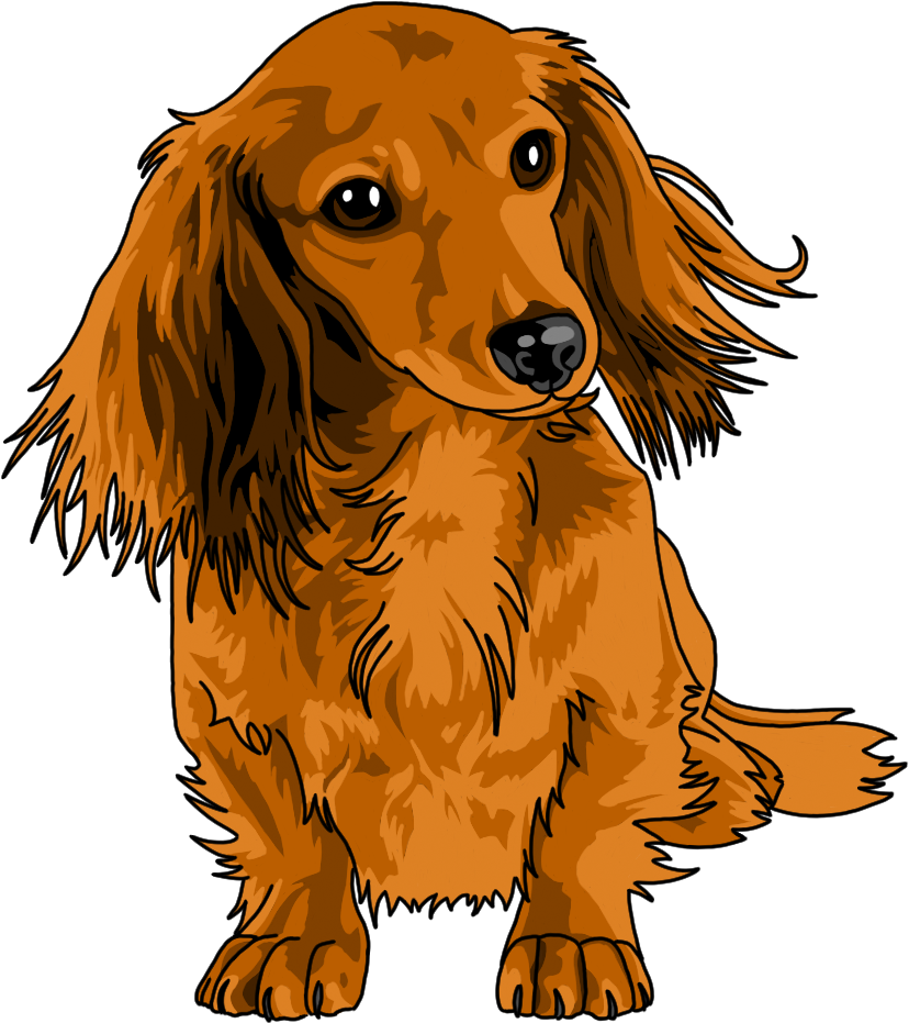Clip Art Royalty Free Stock Carissa For My Pup And - Long Haired Dachshund Drawing (926x1024)