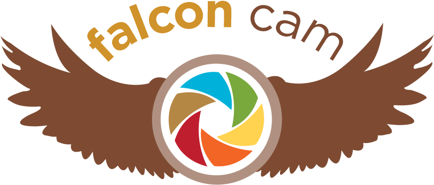 Peregrine Falcon Clipart Shaheen - Graphic Design (900x422)