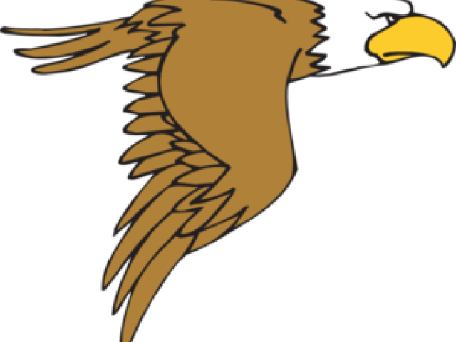 Peregrine Falcon Clipart - Eagle Clip Art (640x480)