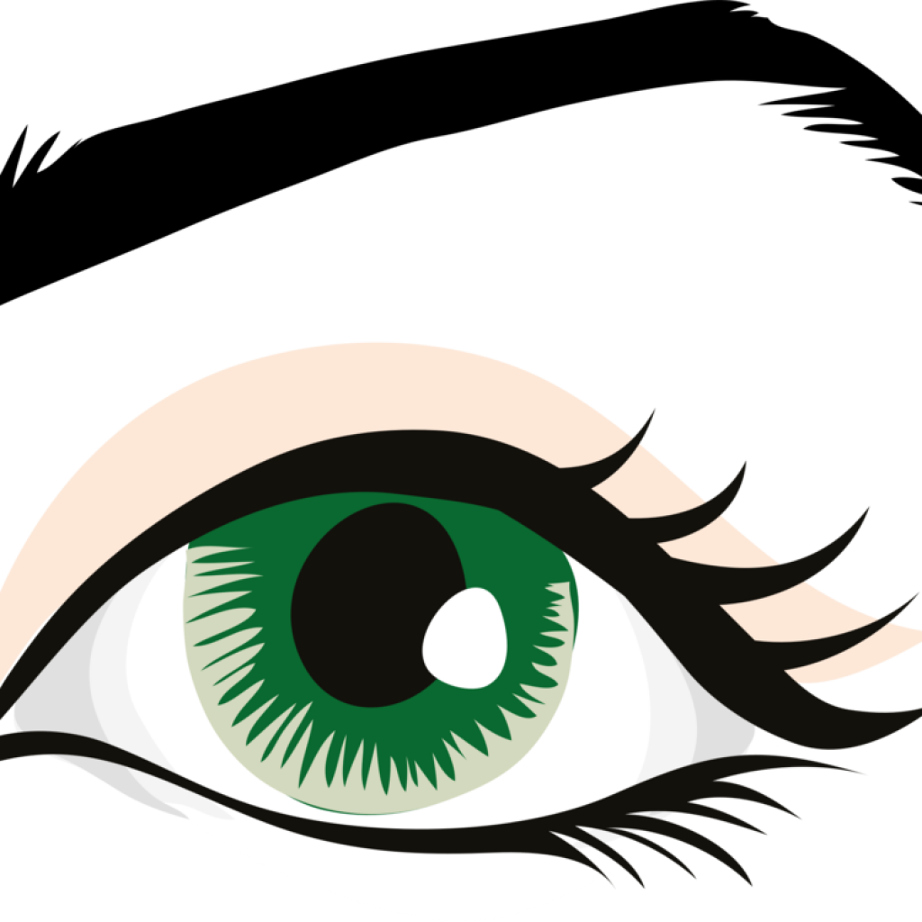 Human Eye Clip Art Human Eye Eyebrow Eyelid Organ Free - Eye With Eyebrow Clipart (1024x1024)