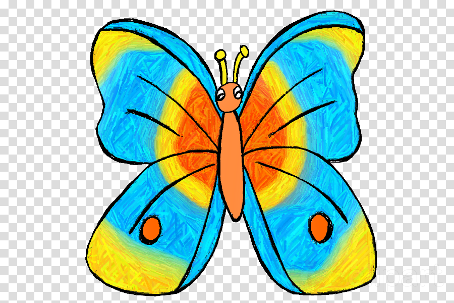 Download Rainforest Clip Art Animals Clipart Amazon - Clip Art (900x600)