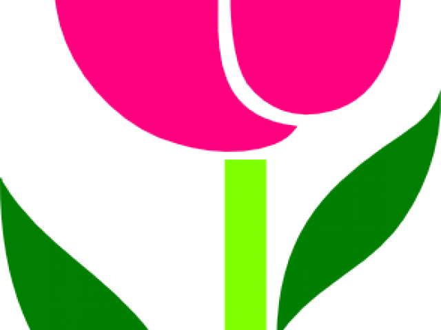 Tulip Cliparts - Clip Art (640x480)