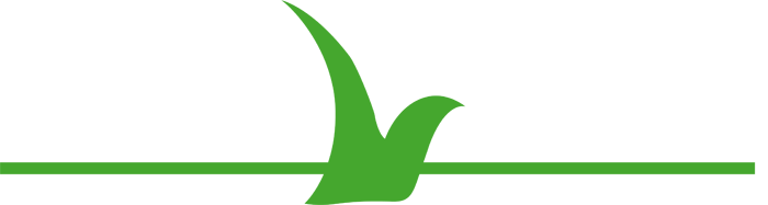 Our Landscaping, Your Lifestyle - Our Landscaping, Your Lifestyle (700x187)