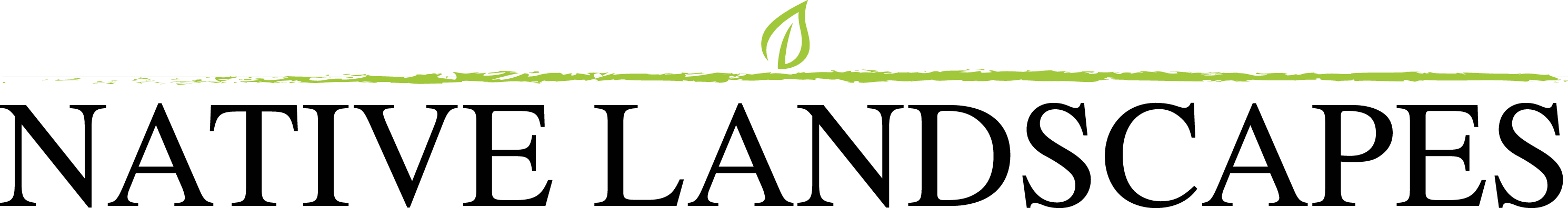 Native Landscapes - Pavement (2979x396)