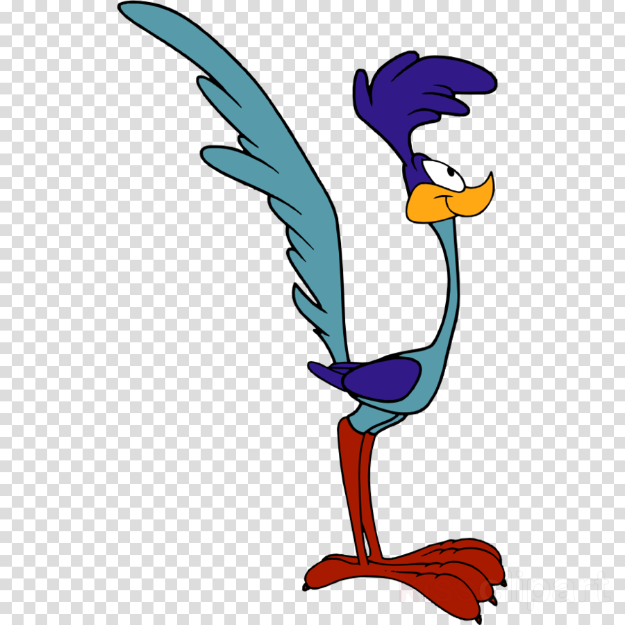 Download Road Runner Cartoon Clipart Wile E - Looney Tunes Papa Léguas (900x900)