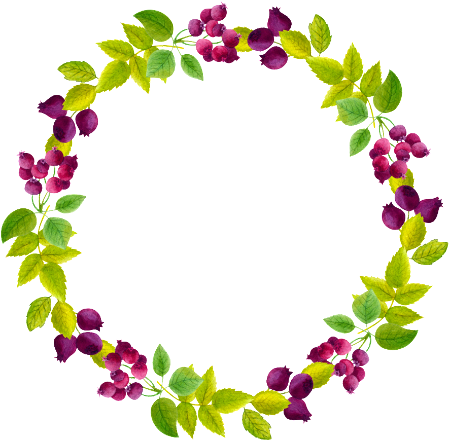 Cute Plant Small Garland Transparent - Cute Plant Small Garland Transparent (1024x1024)