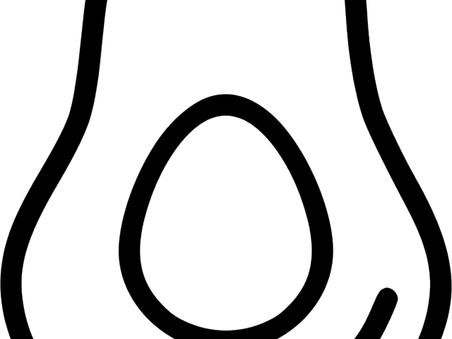 Avocado Clipart Svg - Avocado Clipart Svg (640x480)