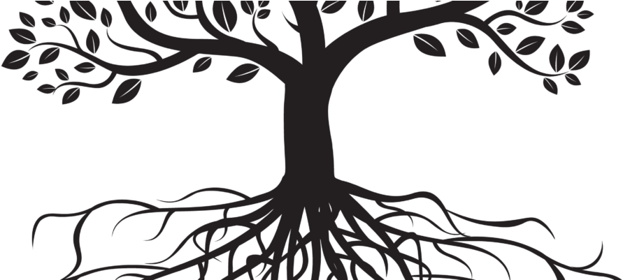 23 Jan 2017 - Tree With Roots Clipart Black And White (940x400)