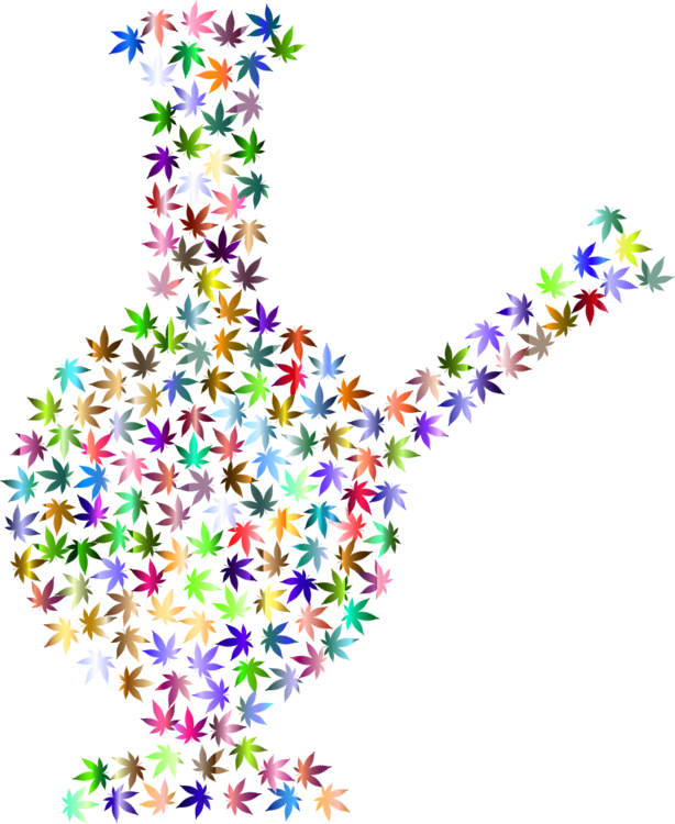 All Photo Png Clipart - All Photo Png Clipart (614x750)