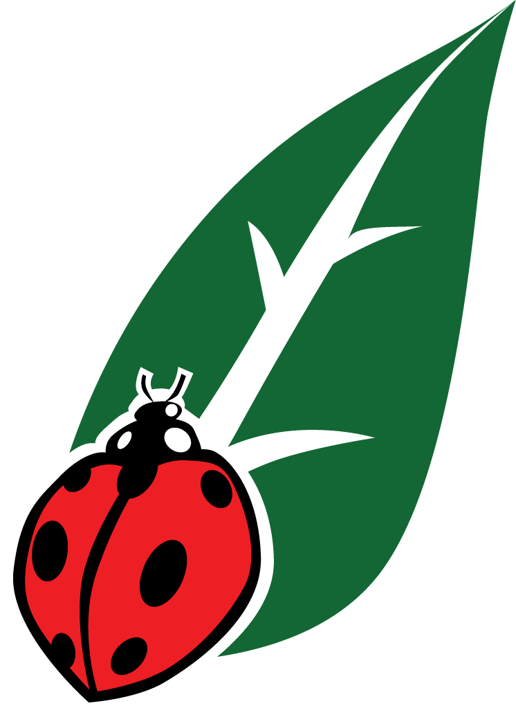 Qic Cannabis Qic Cannabis - Cannabis (746x1033)