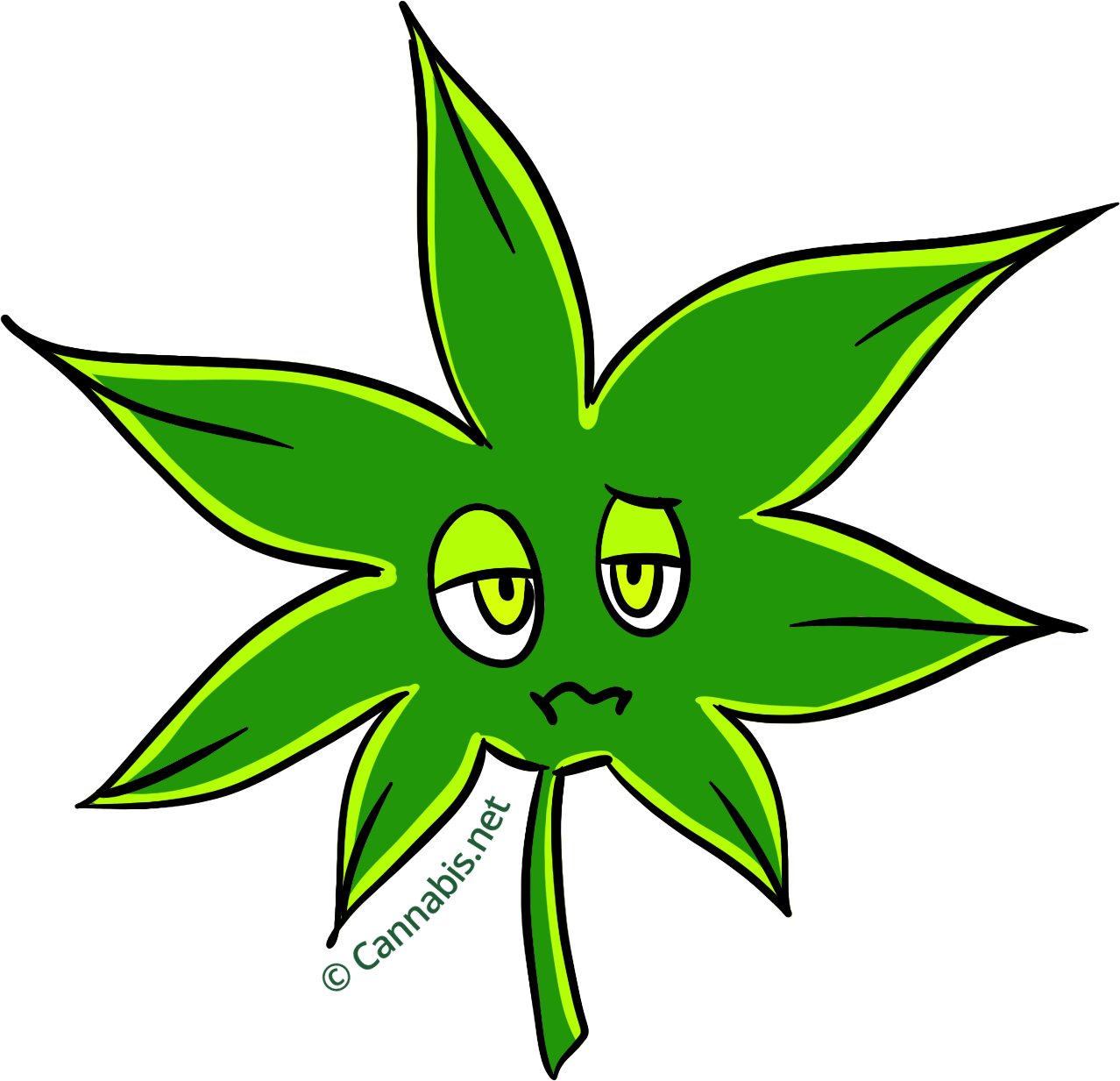Girl Scout Cookies Insomnia - Kush (1278x1233)