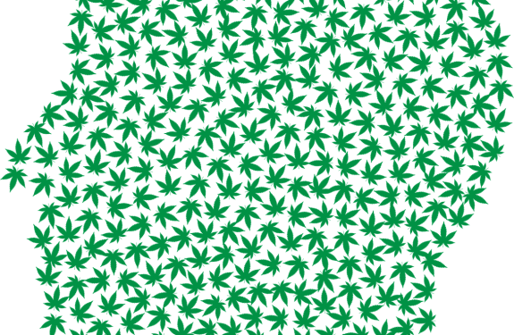 New Zealand Police Support The Delay On Cannabis Reform - Marijuana Addiction (575x375)