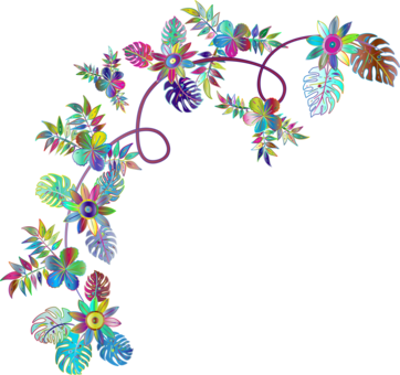 Line Art Floral Design Painting Cut Flowers - Colourful Flower Clipart (362x340)