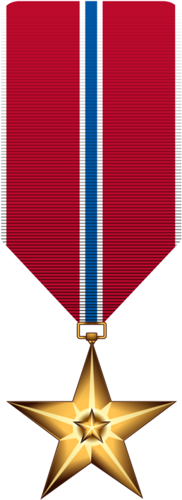 Transparent Bronze Star Medal Png (260x733)