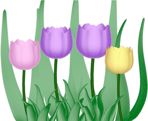 Easter Flower Clipart Teacher - Clip Art (640x480)