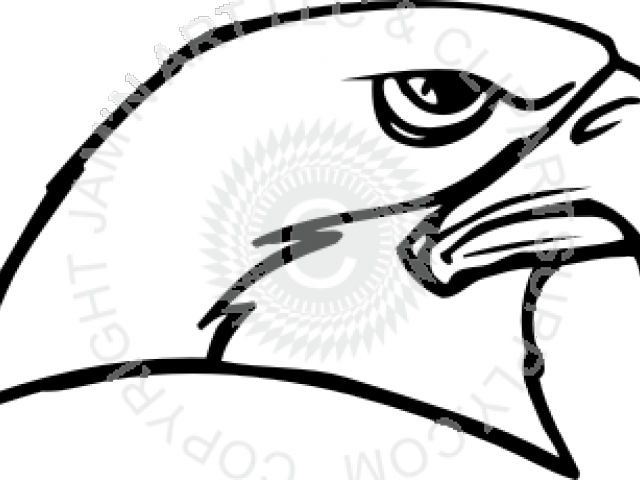 Falcon Clipart Falcon Head - Logo (640x480)