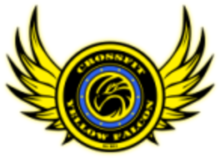 Crossfit Yellow Falcon - Book (960x518)