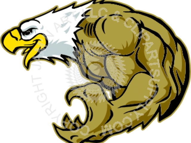Peregrine Falcon Clipart Talon - Eagle Clip Art (640x480)