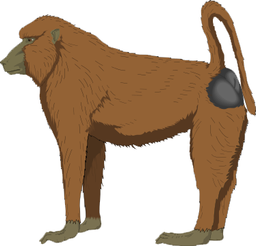 Other Popular Clip Arts - Baboon Clipart Png (374x359)