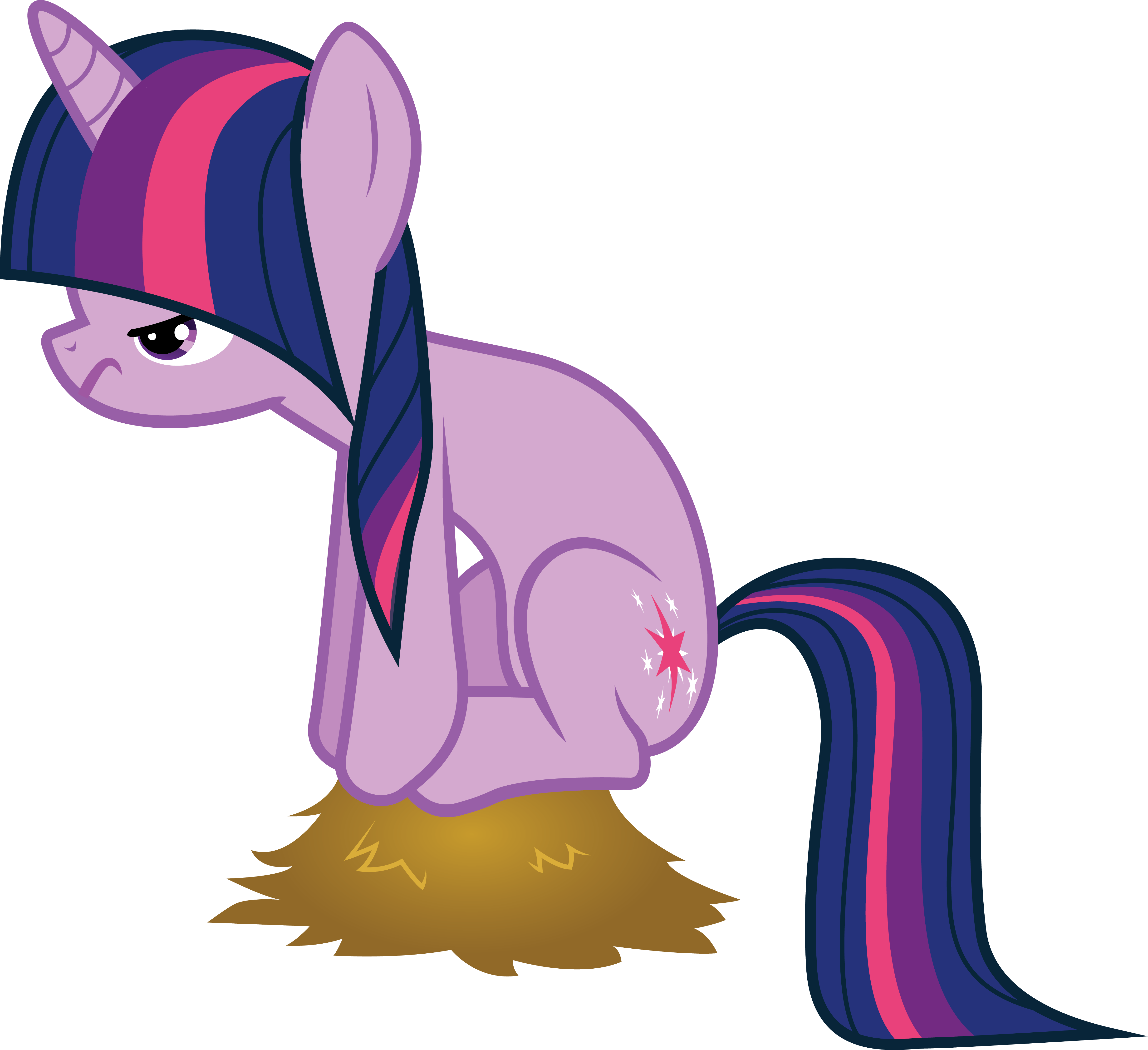Uploaded - Twilight Sparkle (4826x4412)