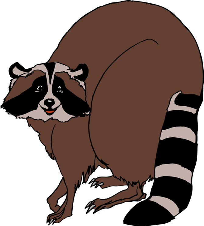 Raccoon Cliparts Zone Free - Fat Raccoon Clipart (672x750)