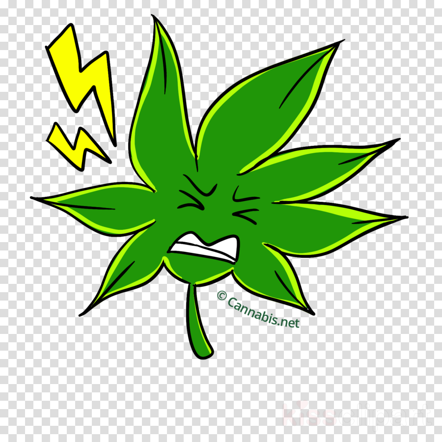 Hemp Clipart Skunk Cannabis Sativa Leaf - Hemp (900x900)