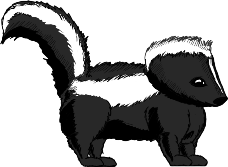 Skunk Clipart Striped Skunk - Transparent Skunk (800x586)