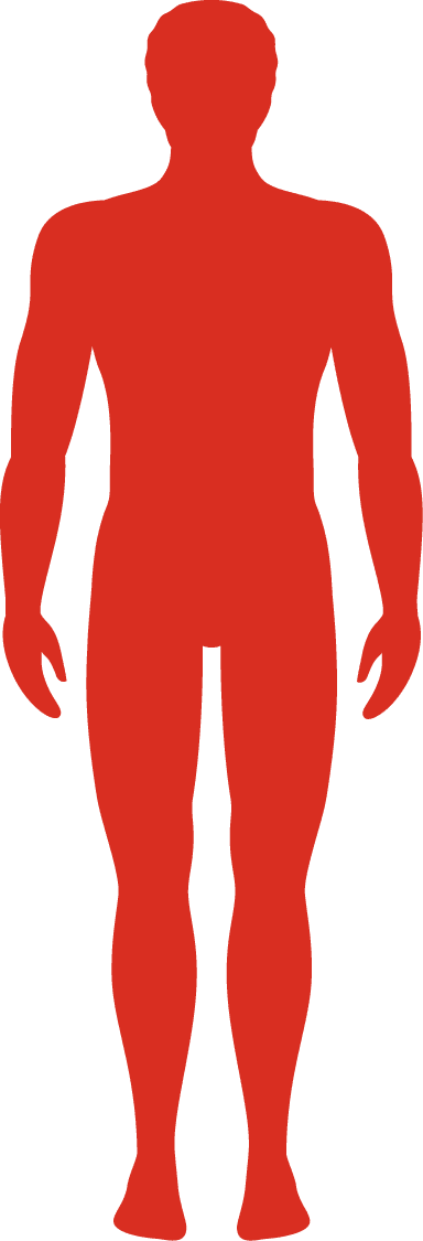 How To Measure Your Size - Homem Fase De Crescimento (384x1125)