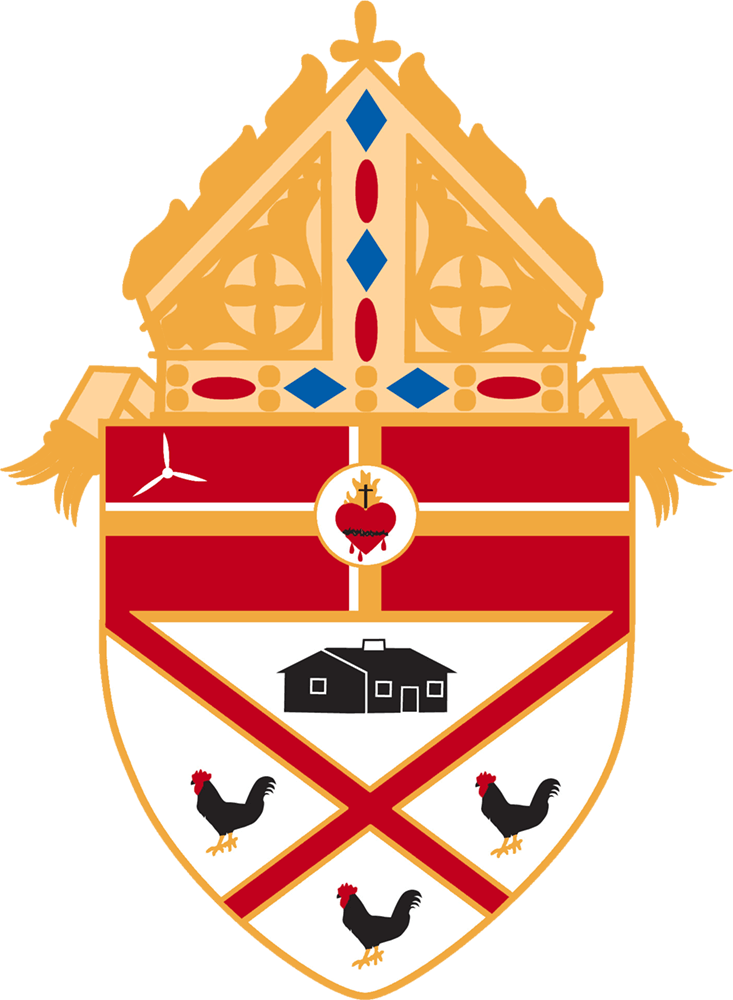 Employment Opportunities - Diocese Of Pensacola Tallahassee Logo (733x1000)