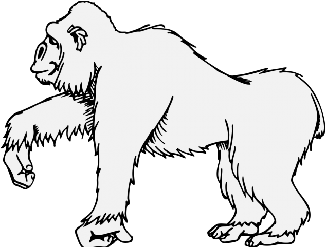 Gorilla Clipart Traceable - Clip Art (640x480)