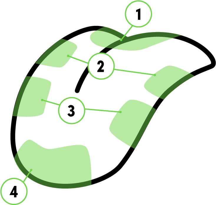 Long Story Short, The Tongue Perceives Flavour As A - Long Story Short, The Tongue Perceives Flavour As A (1020x792)