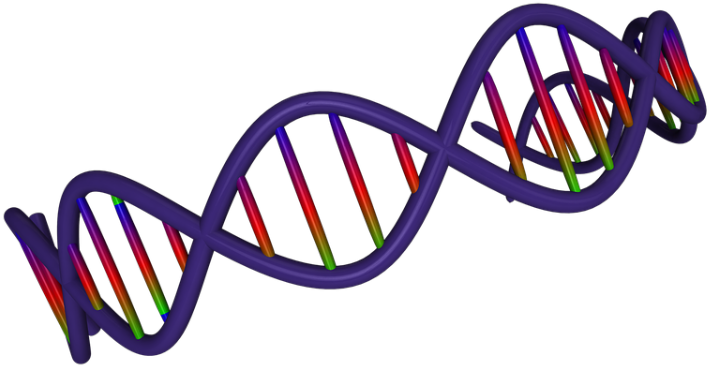 Dna To Define Your Wine Tastes - Adn 3d Png (900x474)