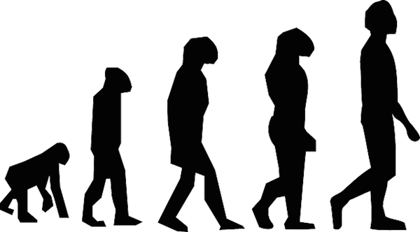 How Can You Evolve To Meet The Challenges Of A New - More Letters Of Charles Darwin [book] (600x332)