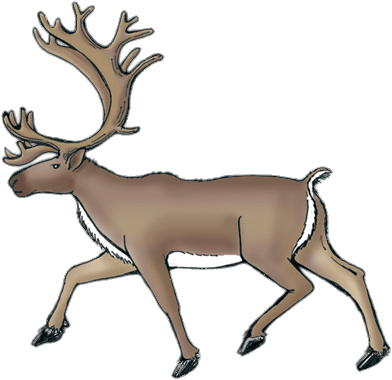 Raindeer Drawing Elk Clipart Transparent Download - Symbols Of Newfoundland And Labrador (432x436)
