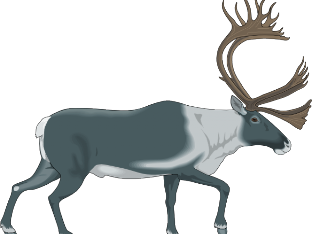 Moose Clipart Cup - Caribou Logos (640x480)