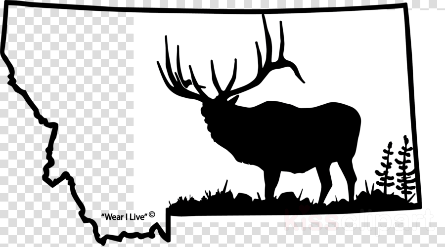 Montana Elk Clipart Beartooth Mountains Clip Art - Hunters Image Let N Loose Elk Hunting Automotive Window (900x500)