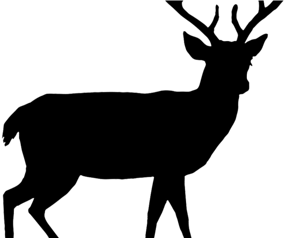 Elk Clipart Wildlife - Forest Animals Shower Curtain (640x480)