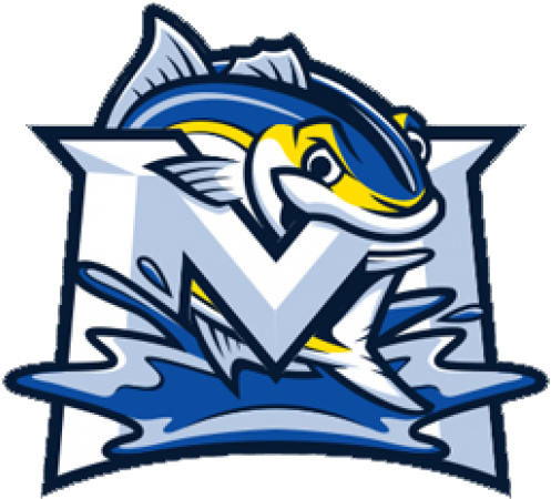 Staff Clipart Intern - Monterey Amberjacks (640x480)