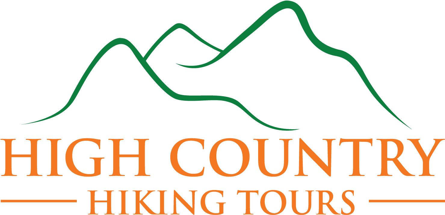 High Country Hiking Tours - St Vincent's Health Logo (1542x900)
