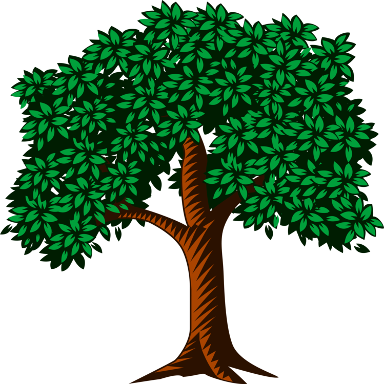 All Photo Png Clipart - Tree Leaves Clipart (749x750)