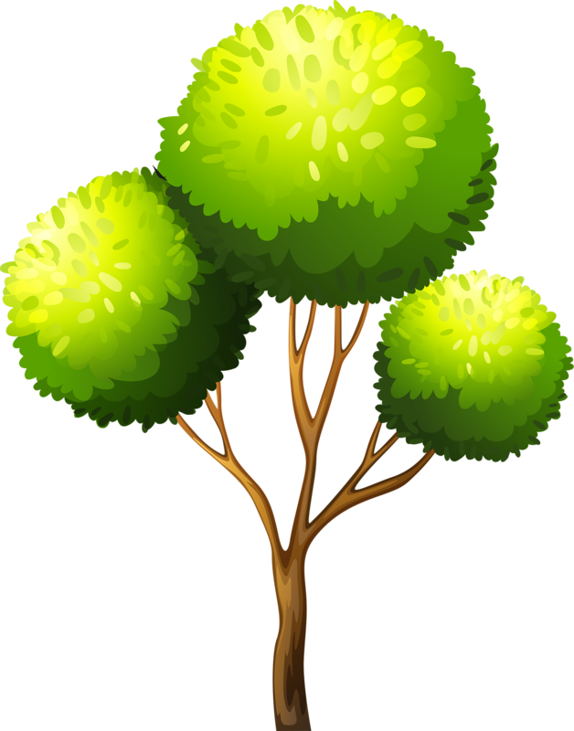 Фотки Tree Leaves, Tree Of Life, Fall Crafts, Landscape - Tree (628x800)