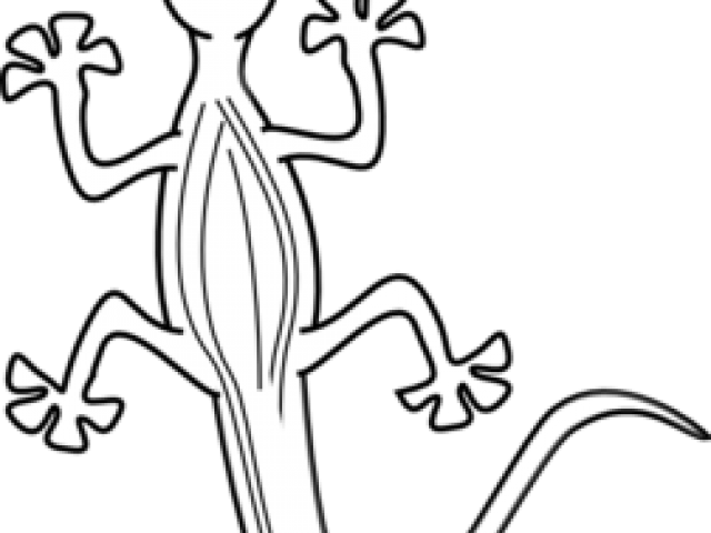 Leopard Lizard Clipart Animated - Lizard (640x480)