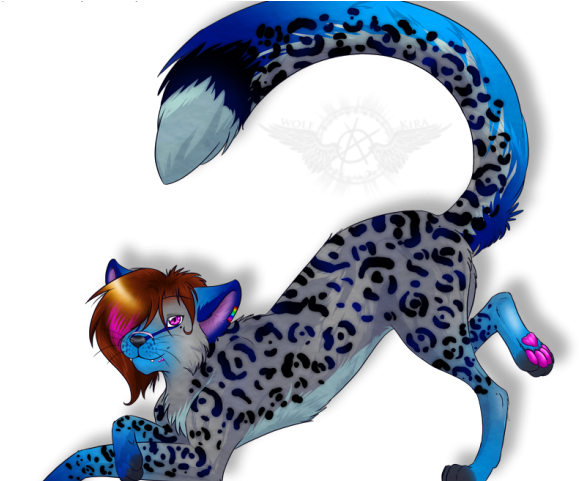 Leopard Clipart Snow Leopard Clipart Snow Animal 25 - Tropical Rainforest Animal Drawings (640x480)